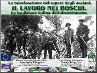 cover of the CD Il lavoro nei boschi