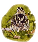 Click here to Listen - Artwork by John Walters